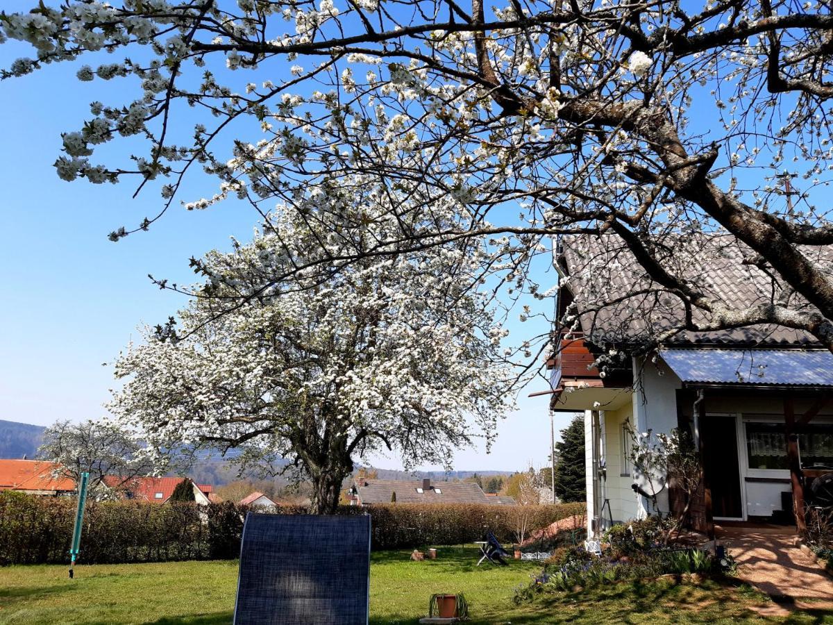 Albblick Daire Bad Herrenalb Dış mekan fotoğraf